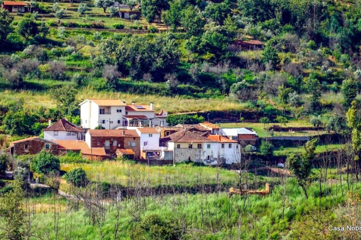 Retiro Na Natureza Casa Com Piscina Digueifel Εξωτερικό φωτογραφία