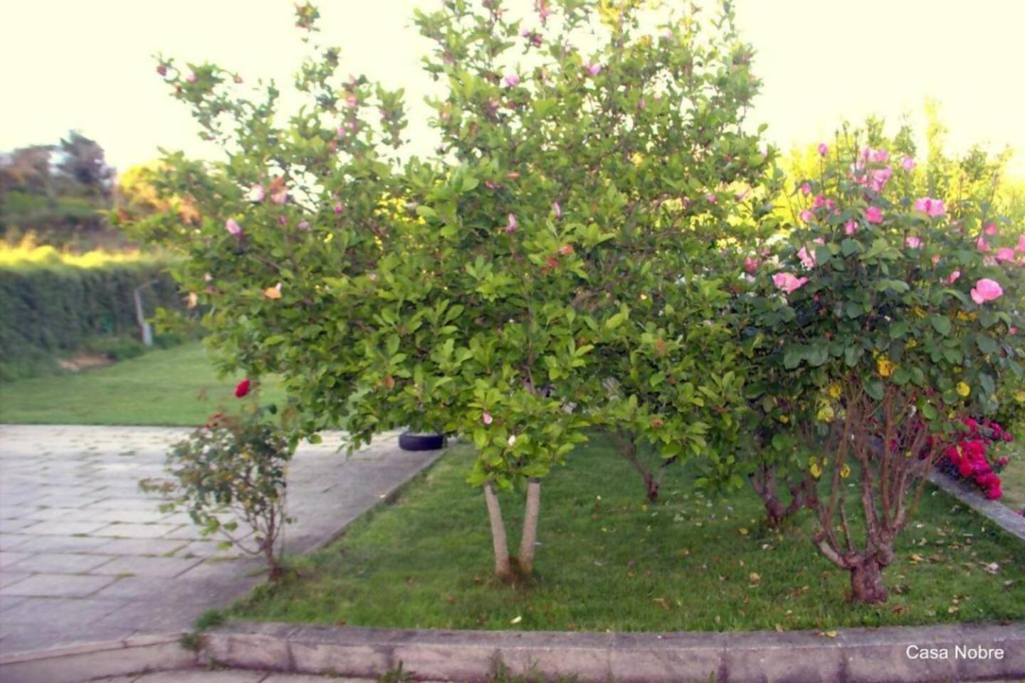 Retiro Na Natureza Casa Com Piscina Digueifel Εξωτερικό φωτογραφία